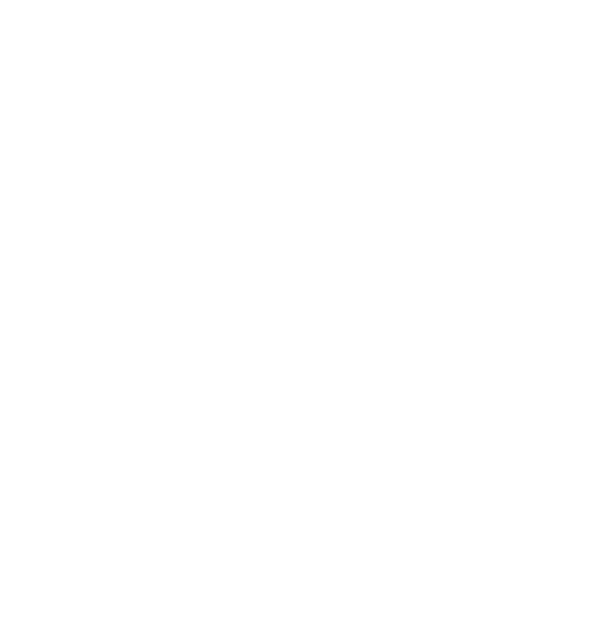 Eleckza Logo